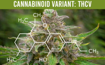 Cannabinoid variant: THCV